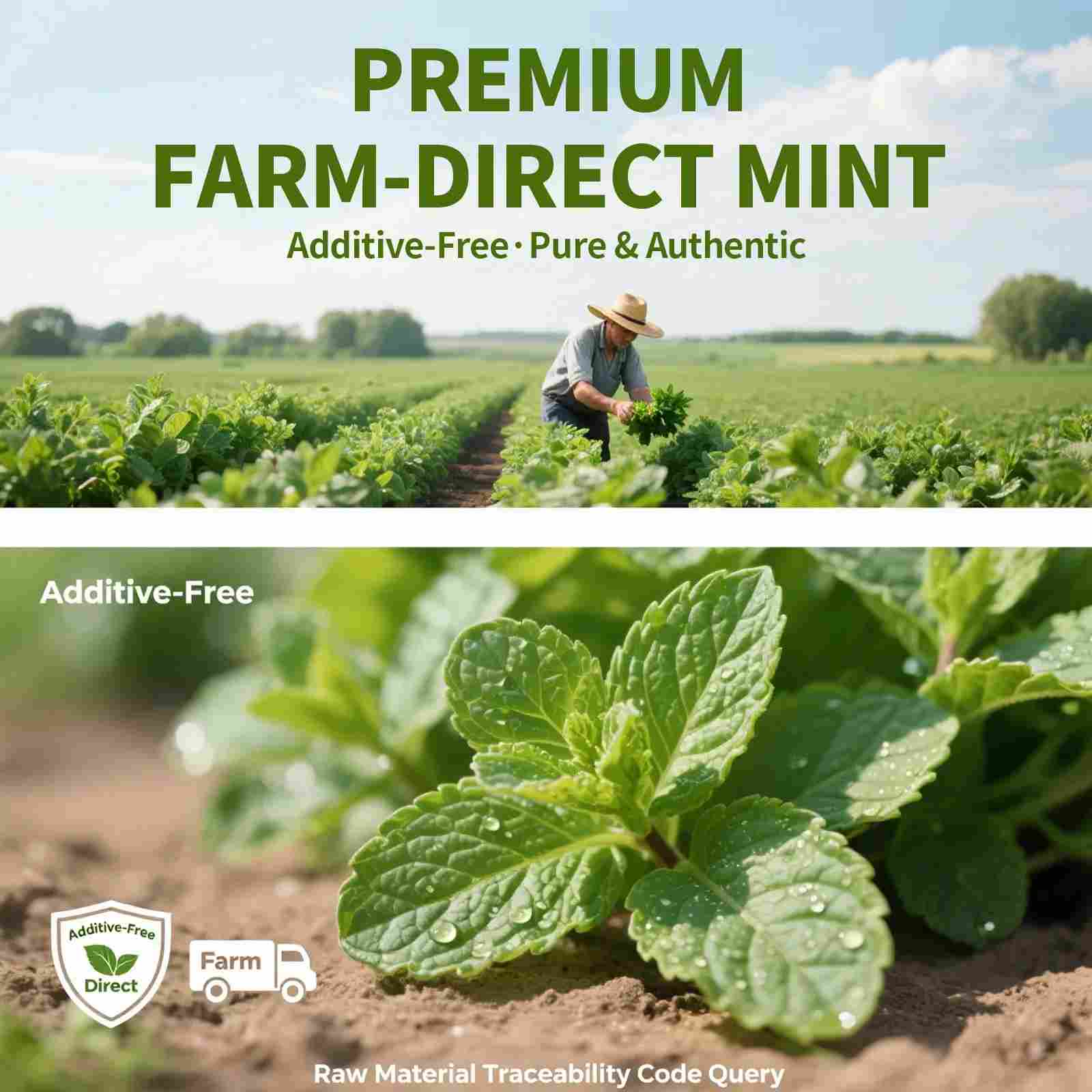 Pure Peppermint Essential Oil - Beautyturess