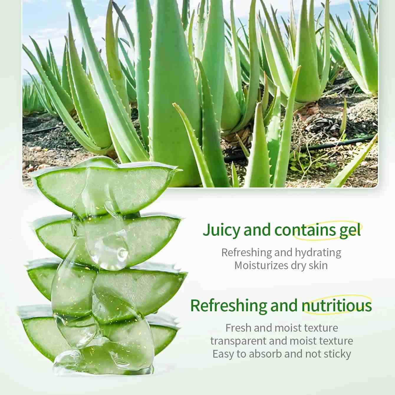 Aloe Vera Hydrating Gel - Beautyturess